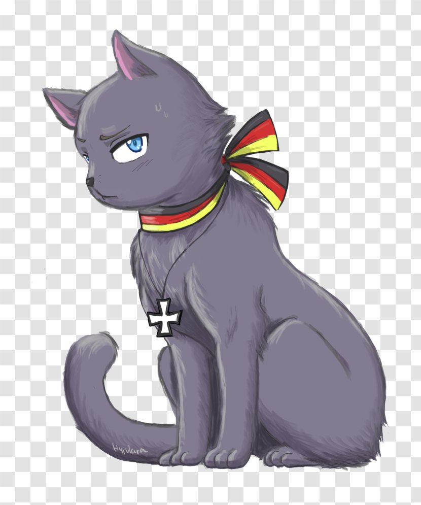 Kitten Whiskers Russian Blue Havana Brown Germany - Snout Transparent PNG