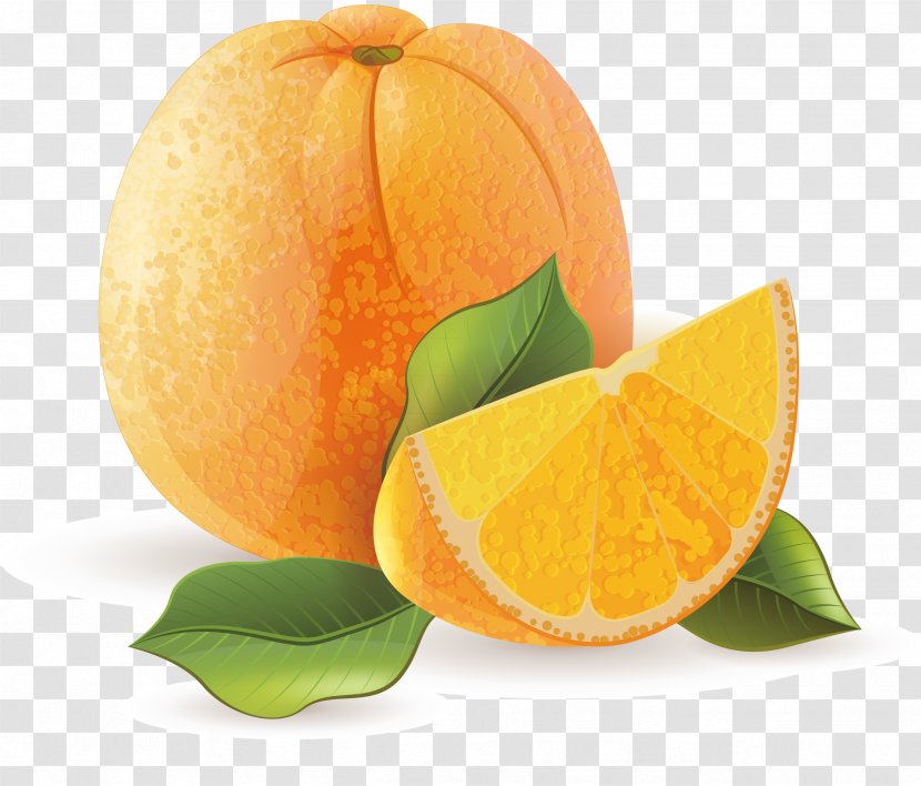 Orange Juice Tangerine Mandarin - Still Life Photography - Decoration Design Transparent PNG