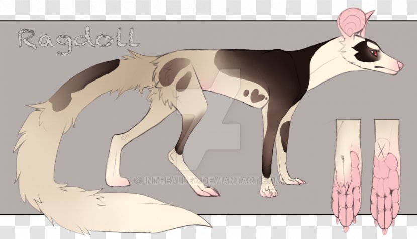 Italian Greyhound Whippet Spanish Dog Breed - Tail - Ragdoll Transparent PNG