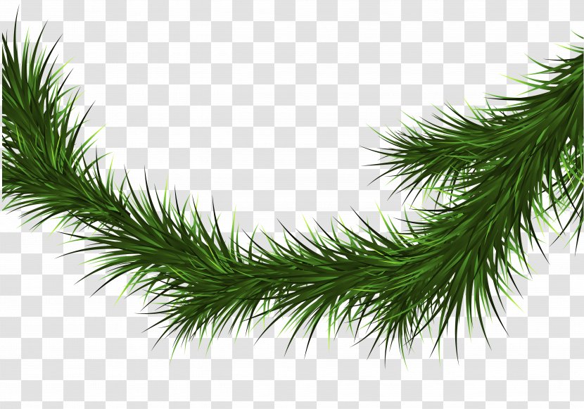 Spruce Fir Pine Christmas Tree Branch - Ornament - Rolling Pin Transparent PNG
