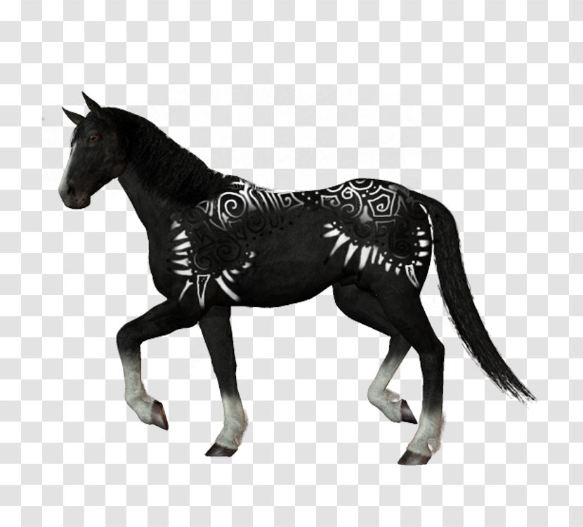 Curly Horse Blanket Black - Mare - Pattern Transparent PNG