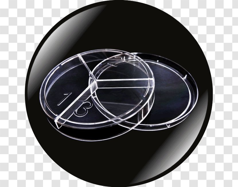 Rim Circle Wheel Transparent PNG