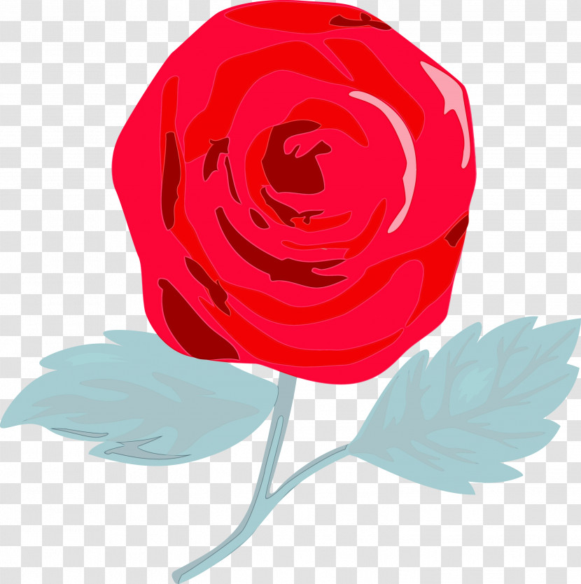 Garden Roses Transparent PNG