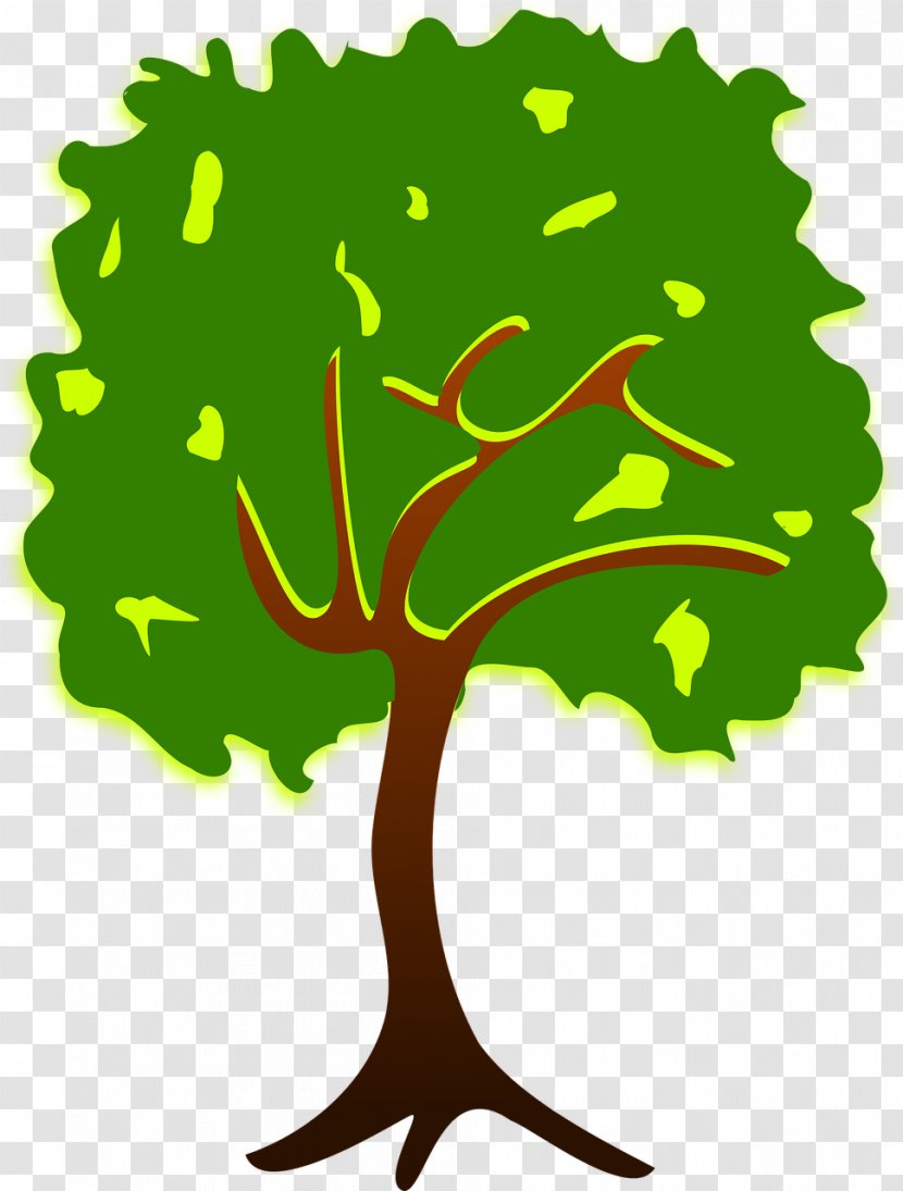 Tree Branch Clip Art - Green - Drawing Trees Transparent PNG