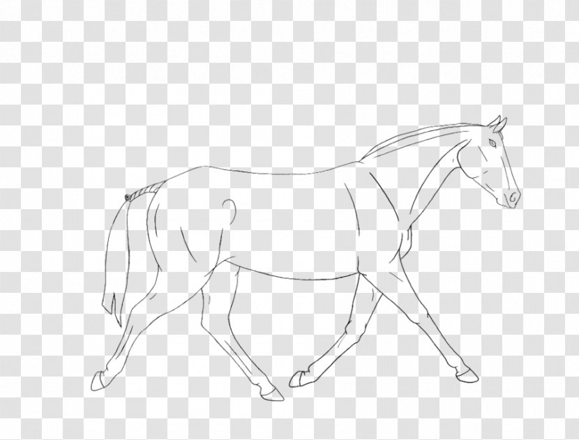 Mane Bridle Foal Stallion Colt - Monochrome - Mustang Transparent PNG