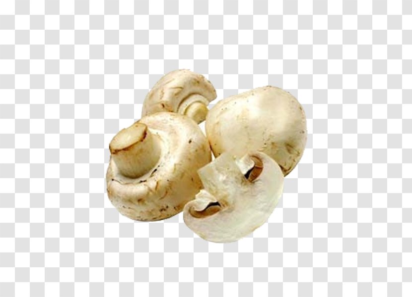 Common Mushroom Edible - Vegetable - Creative Pull Small White Free Transparent PNG