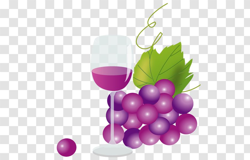 Grape Wine Juice Muscat Beaujolais Nouveau - Violet Transparent PNG