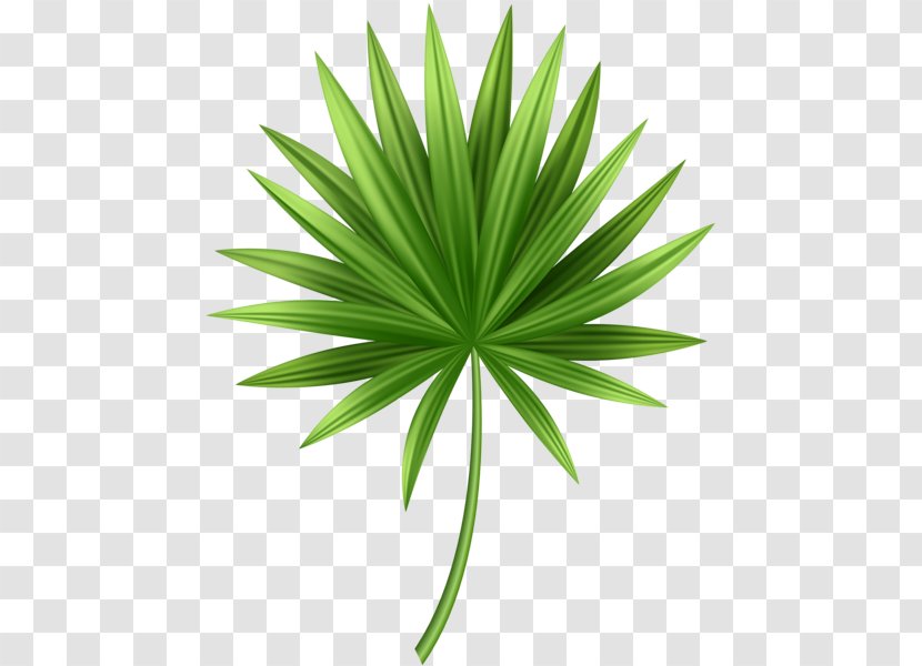 Clip Art Image Palm Trees Openclipart - Tree - Leaf Transparent PNG