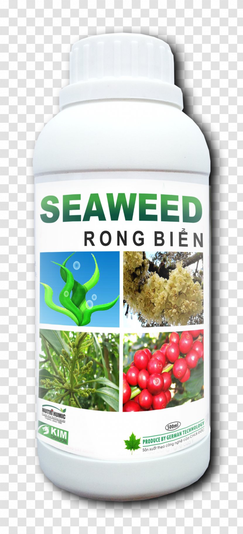 Seaweed Algae Dracontomelon Fruit Ingredient - Cosmetics Transparent PNG