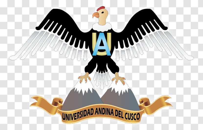 Faculty Of Engineering The Andean University Cusco National Saint Anthony Abbot In Cuzco Provincial Municipality Colegio Arquidiocesano San Antonio Abad - City Transparent PNG