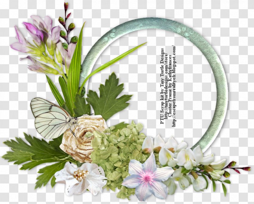 Butterfly Harvest Insect Pollinator - Flower Arranging Transparent PNG