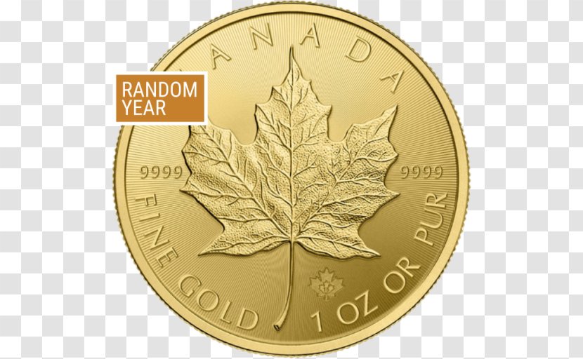 Canada Canadian Gold Maple Leaf Coin Bullion - Argentina Currency 100 Transparent PNG