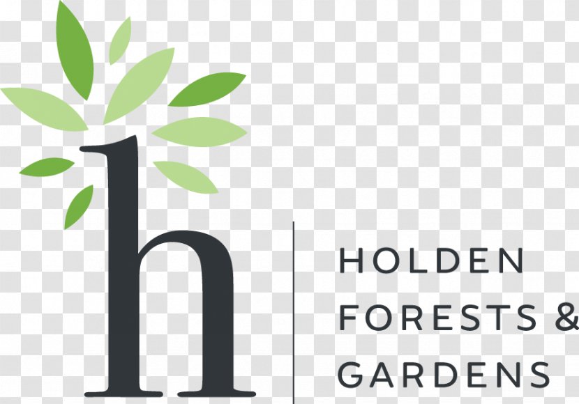 Judith And Maynard H. Murch IV Canopy Walk Holden Arboretum Garden Stems Fleur - Green - Plant Transparent PNG
