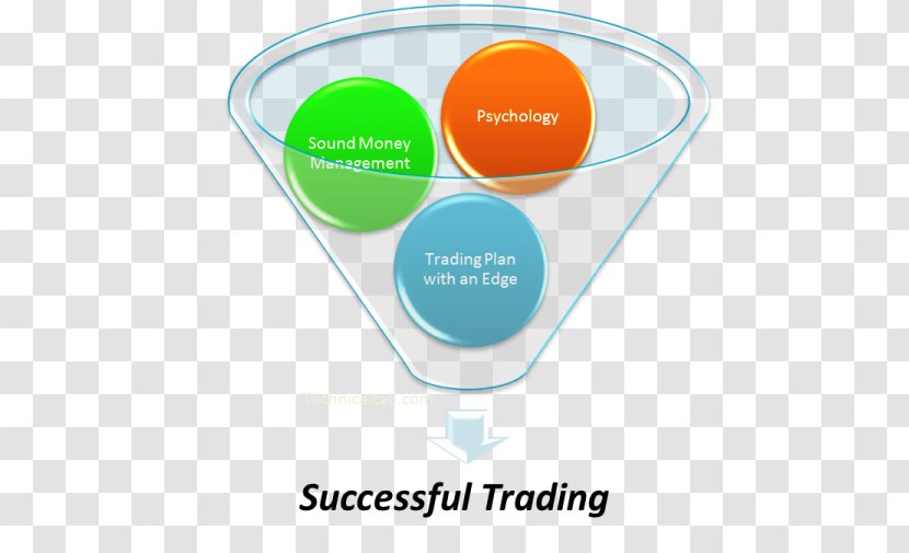 H-1B Visa Febrile Seizure Gluconeogenesis Epileptic Liver - Logo - Technical Analysis Transparent PNG