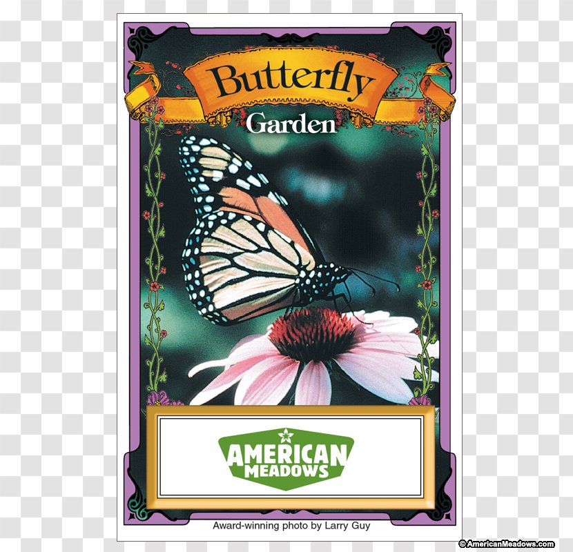 Monarch Butterfly Brush-footed Butterflies Meadow Seed - Flower Transparent PNG
