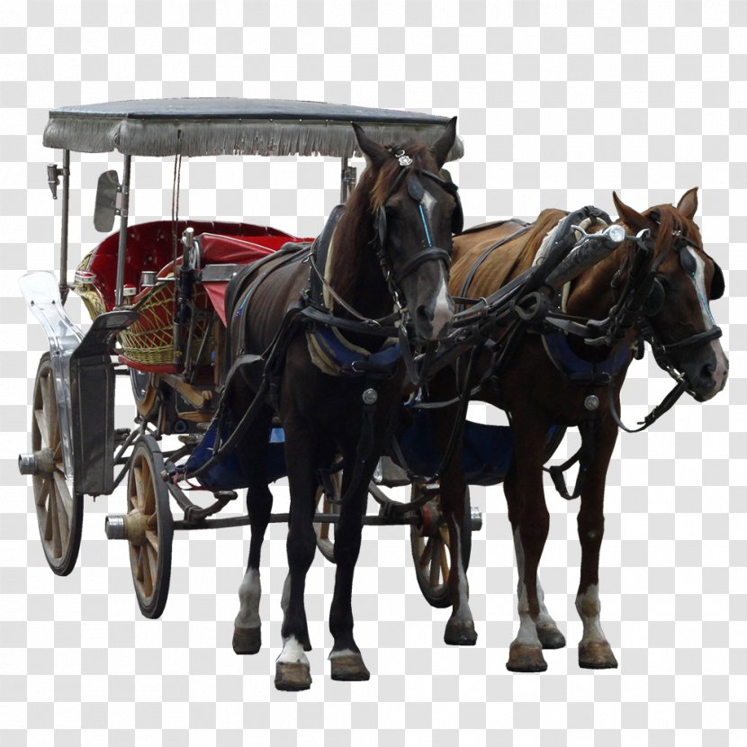 Mule Horse Harnesses And Buggy Carriage Transparent PNG
