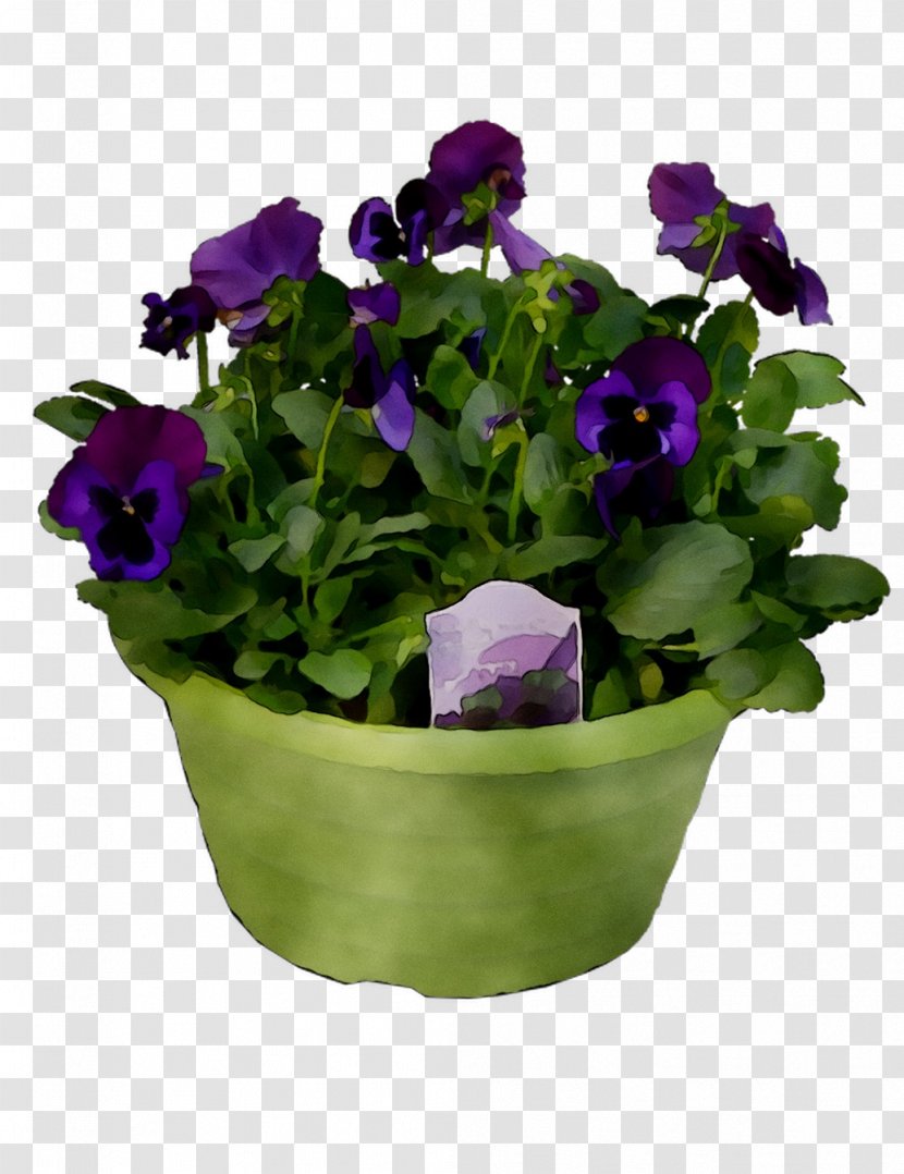 Pansy Cut Flowers Annual Plant Aubrieta - Violet - Family Transparent PNG