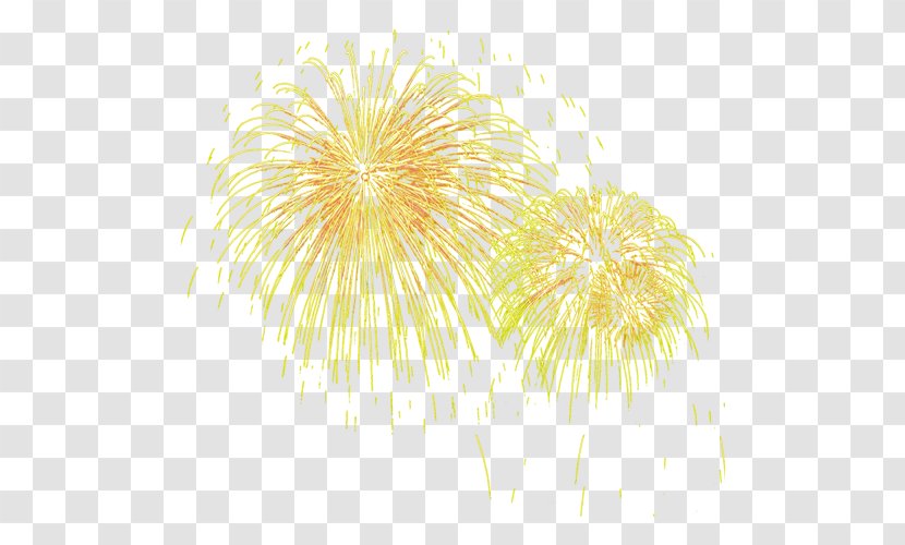 Petal Yellow Pattern - Flowering Plant - Fireworks Transparent PNG