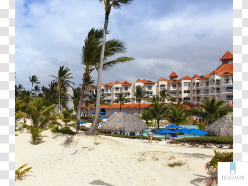 Occidental Caribe Hotel All-inclusive Resort Beach - Bay - Punta Cana Transparent PNG