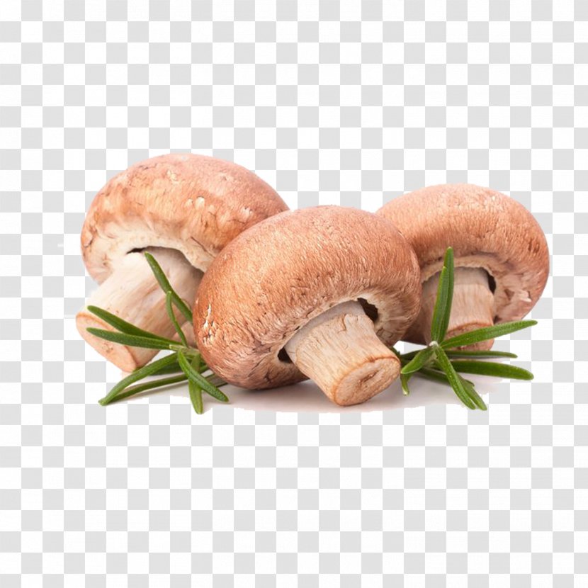 Kasha Edible Mushroom Fungus Stock Photography - Fresh Vegetables Three Small Mushrooms Transparent PNG