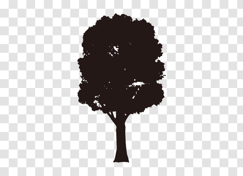 Tree Silhouette European Ash Branch Drawing - Aspen Transparent PNG