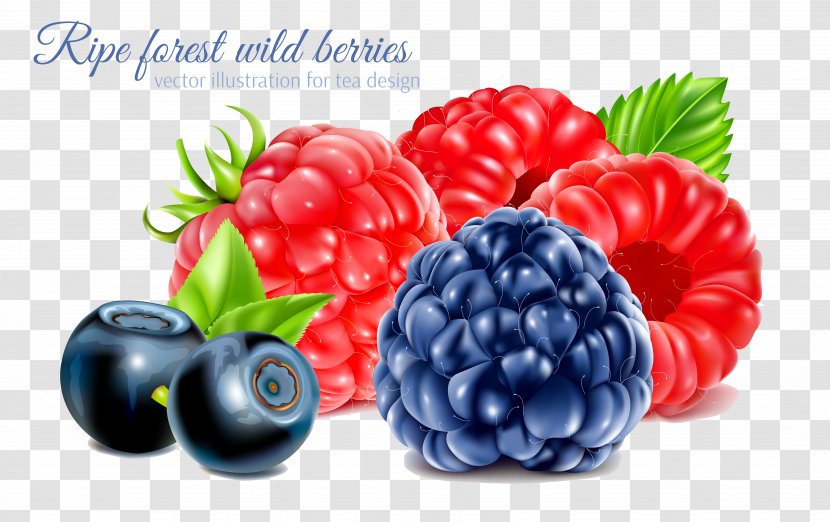 Frutti Di Bosco Raspberry Fruit Transparent PNG