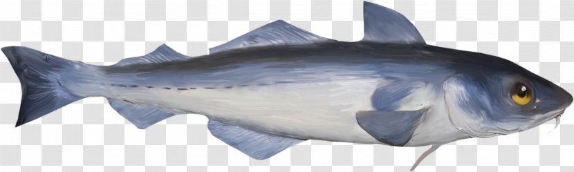 Thunnus Oily Fish Marine Biology Animal - Requiem Shark Transparent PNG