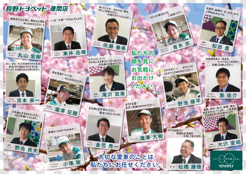 Cherry Blossom Wallpaper - Media - Ac Nagano Parceiro Transparent PNG