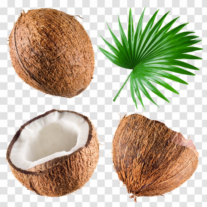 Coconut Milk Water Stock Photography Royalty-free - Nuts Transparent PNG