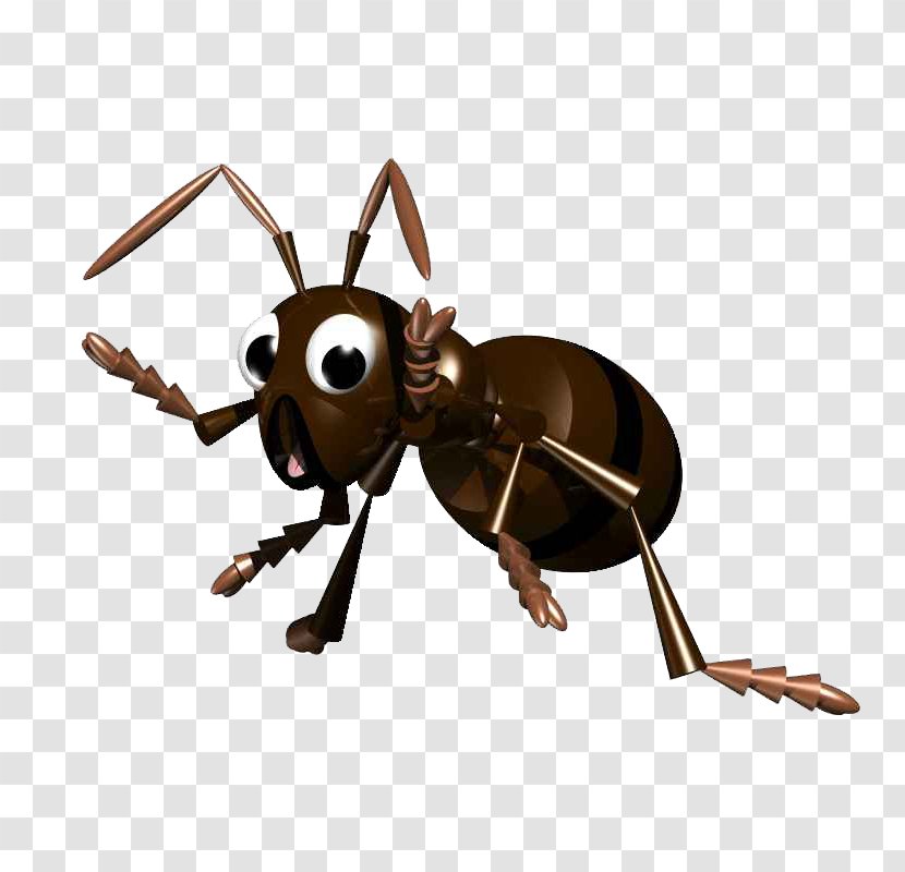 Black Garden Ant Insect Leafcutter - Arthropod - Surprised Ants Transparent PNG