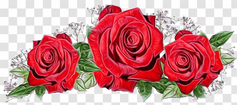 Floral Design Transparent PNG