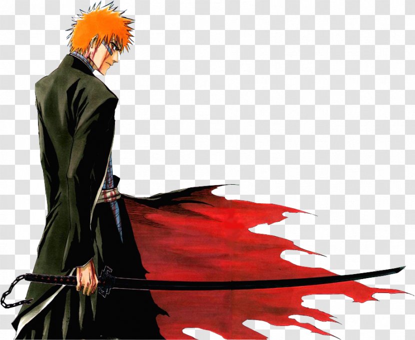 Ichigo Kurosaki Rukia Kuchiki Karakura Town Byakuya Yoruichi Shihouin - Frame Transparent PNG