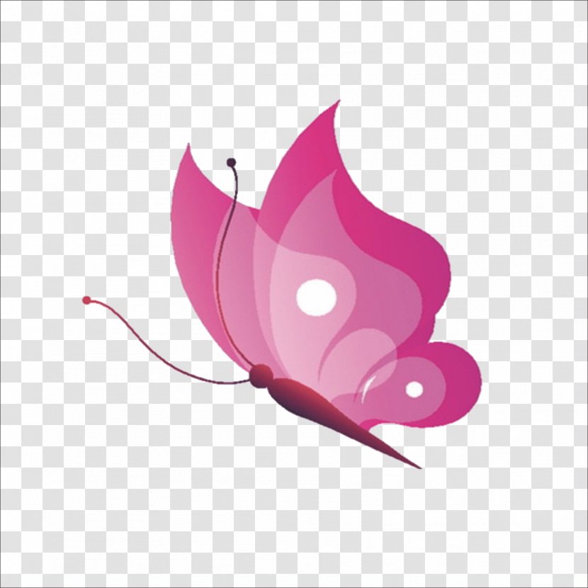 Butterfly Insect Drawing - Pink Transparent PNG