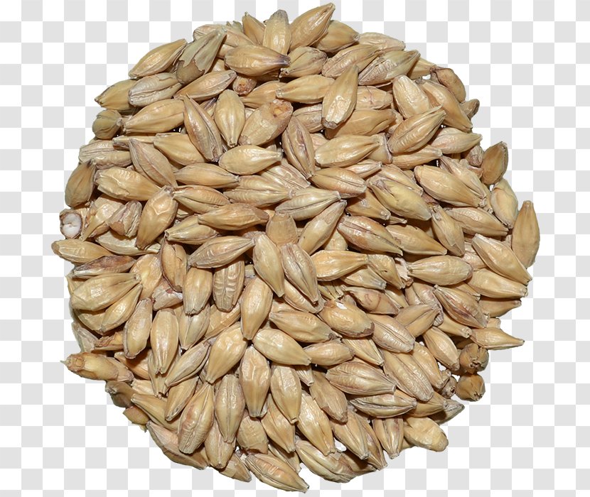 Oat Vegetarian Cuisine Cereal Germ Whole Grain - Commodity - Weyermann Malting Company Transparent PNG