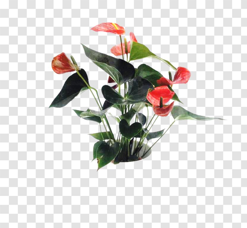 Floral Design Cut Flowers Artificial Flower - Rose Family Transparent PNG