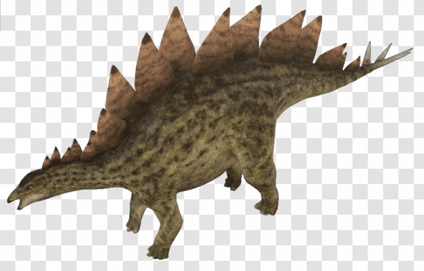 Stegosaurus Triceratops Allosaurus Tyrannosaurus Gallimimus - Cryptid - Dinosaur Transparent PNG