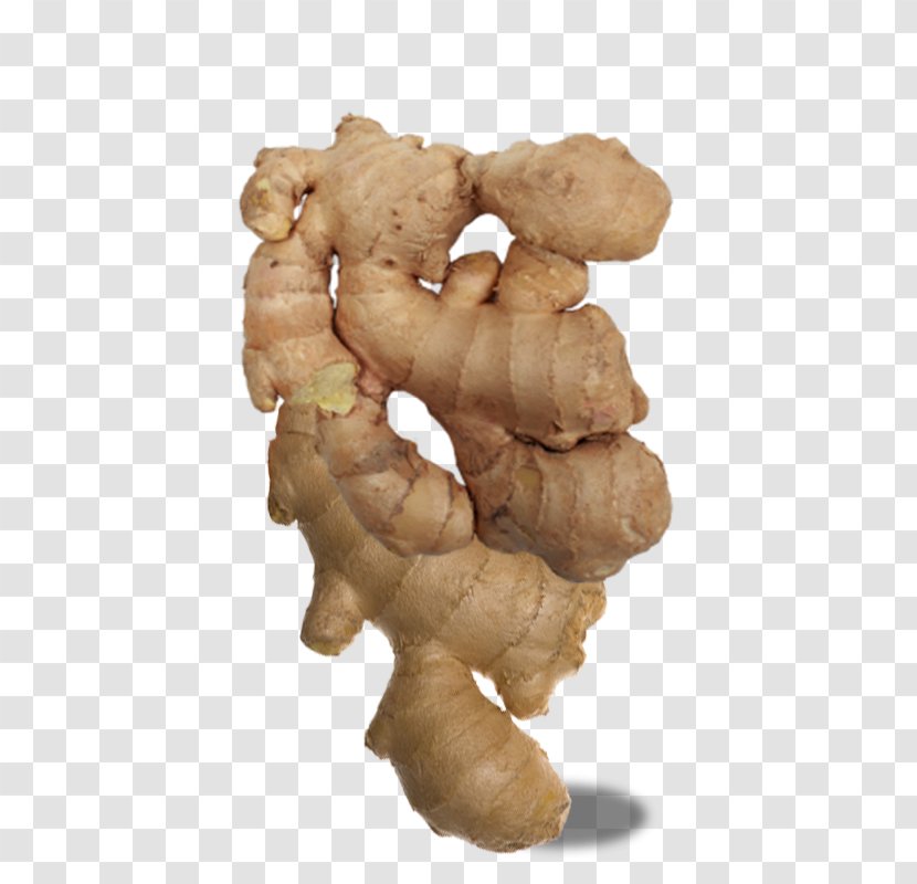Ginger Download Icon - Condiment - A Crowded Big Transparent PNG