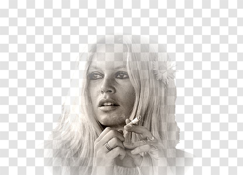 Eyebrow Cheek Chin Forehead Jaw - Frame - Brigitte Bardot Transparent PNG