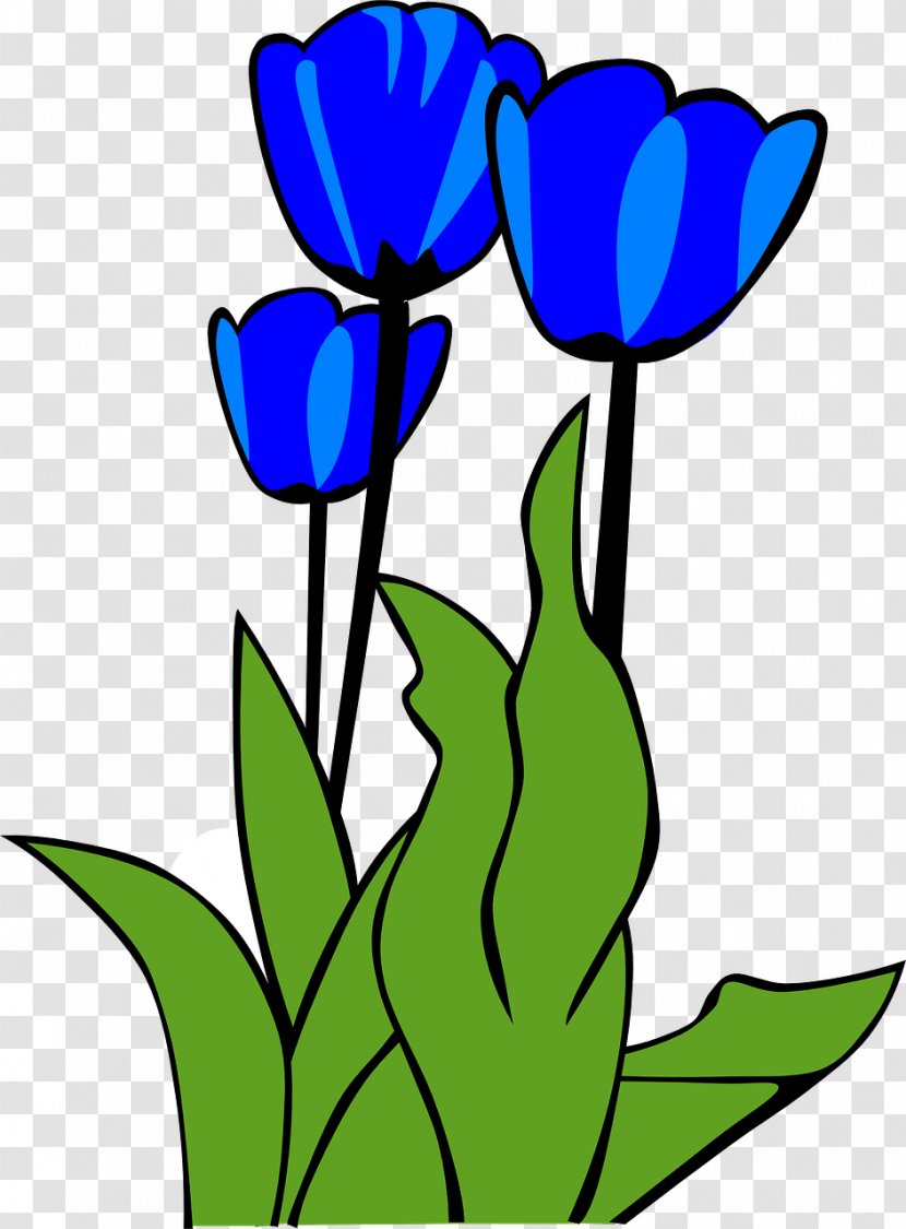 Blog Drawing Clip Art - Flower - Tulip Transparent PNG