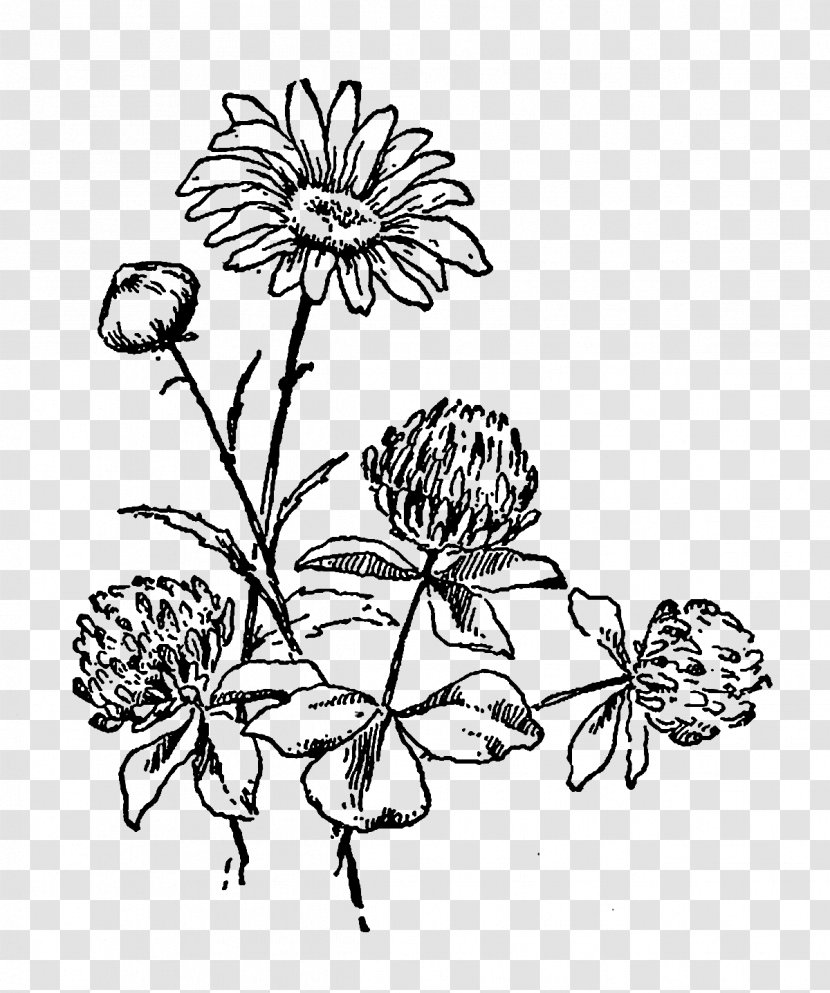 Flower Black And White Drawing Clip Art - Tree Transparent PNG