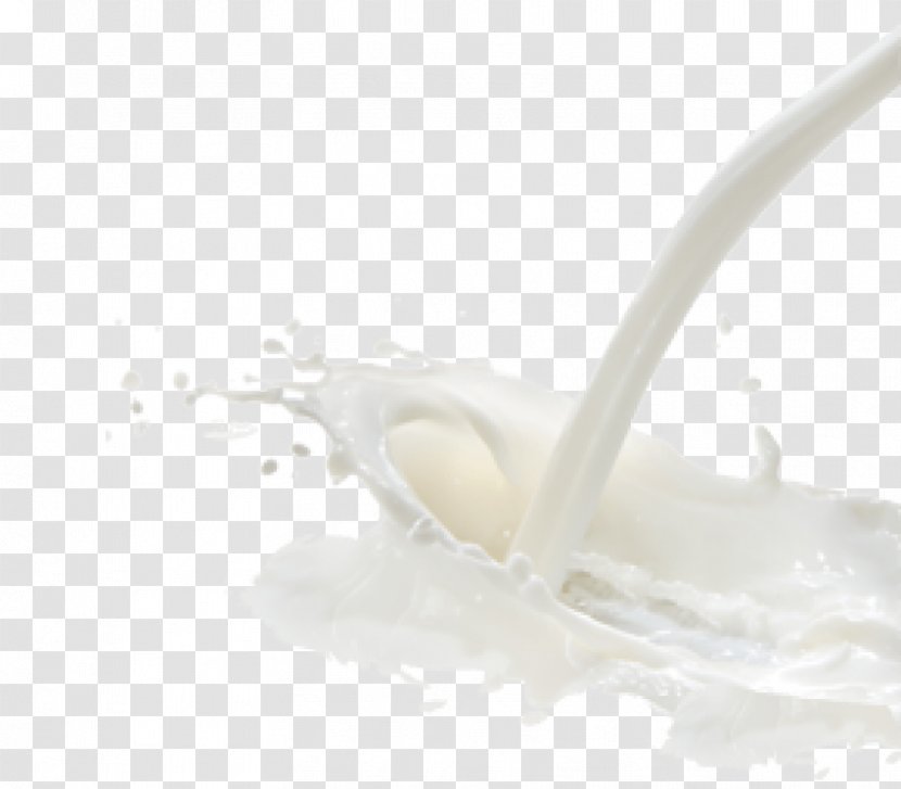 Milk - Dairy Product - Food Transparent PNG