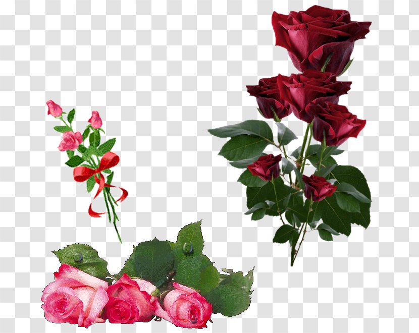 Garden Roses Artificial Flower Clip Art - Pink - Rose Transparent PNG