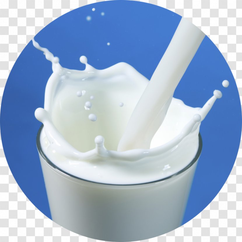 Rice Milk Chocolate Skimmed Dairy Products - Dishware Transparent PNG