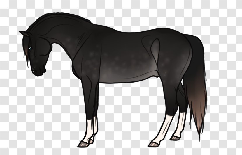 Mane Mustang Stallion Mare Pony - Saddle - Requiem For A Dream Transparent PNG