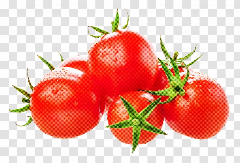 Tomato - Natural Foods - Bush Plant Transparent PNG