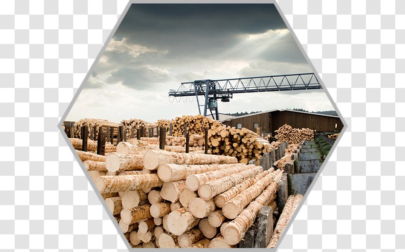 Sawmill Particle Board Lumberjack Forestry - Architectural Engineering - Powder Explosion Transparent PNG