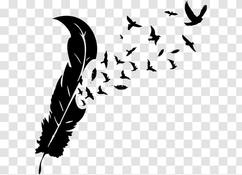 Feather Bird Wall Decal Photography Sticker Transparent PNG