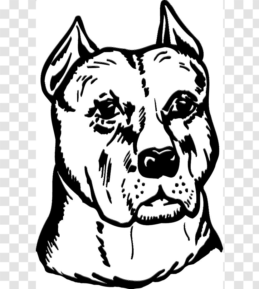 American Pit Bull Terrier Decal Sticker Drawing - Pitbull Transparent PNG