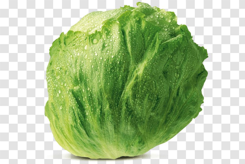 Romaine Lettuce Wrap Sandwich Iceberg Cruciferous Vegetables - Cabbage - Vegetable Transparent PNG