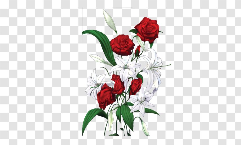 Garden Roses Beach Rose Red White - Order - And Picture Transparent PNG